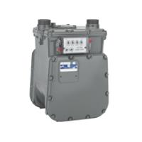 Landis + Gyr AC 630 Residential Gas Meter